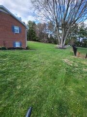 Vinyl Privacy Fence Install Hancock, MD